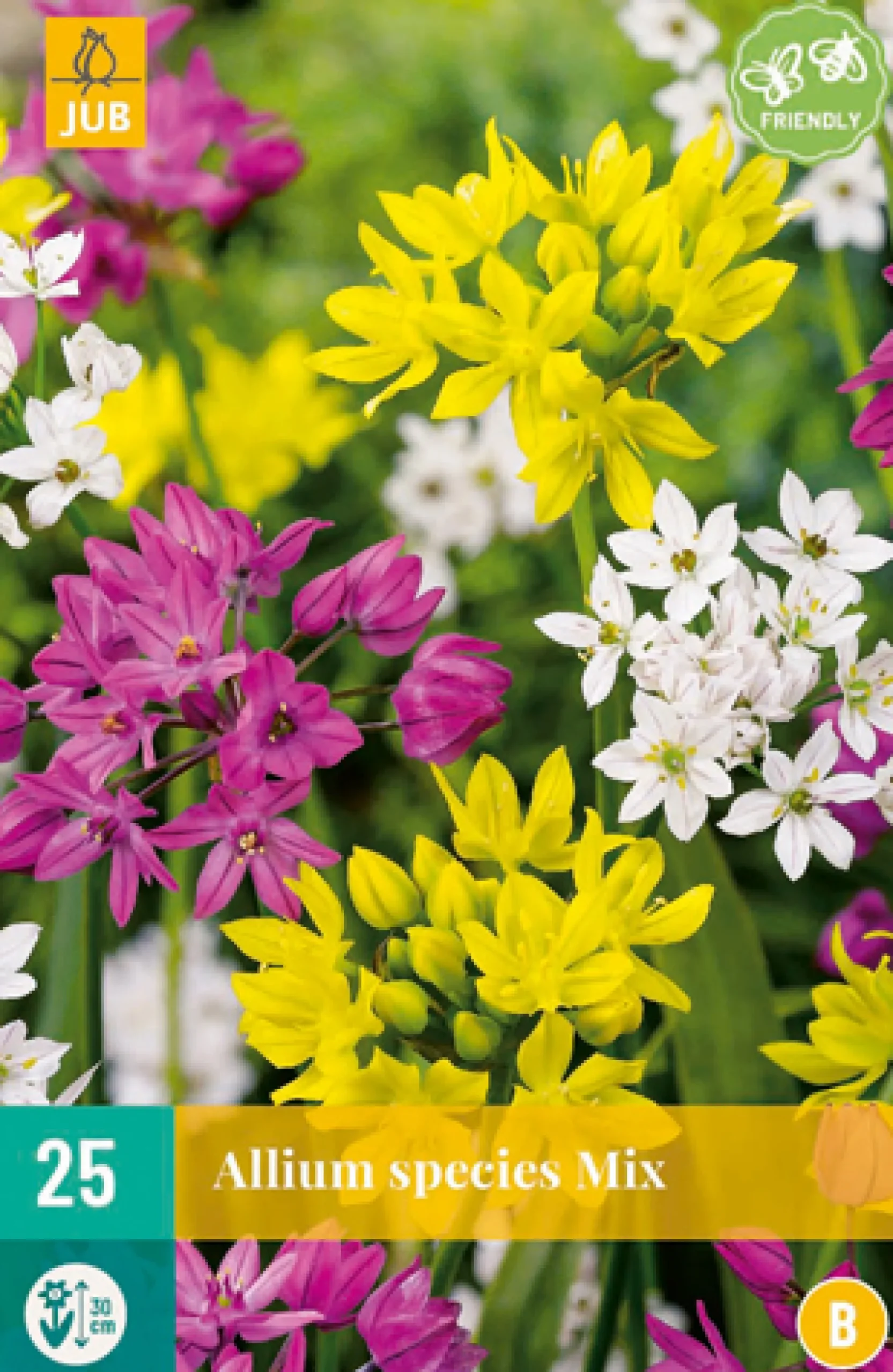 25 allium species mix|ohgreen Clearance