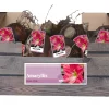 1 amaryllis roze|ohgreen Outlet