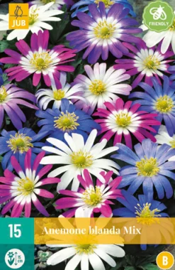 15 anemone blanda mix|ohgreen Clearance