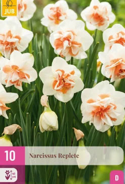 10 bloembollen narcissus replete|ohgreen Best