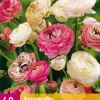 40 bloembollen ranunculus pastel mix|ohgreen New