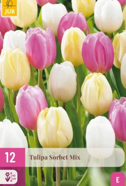 12 bloembollen tulipa sorbet mix|ohgreen Clearance