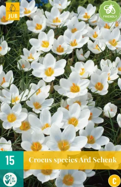 15 crocus ard schenk|ohgreen Discount