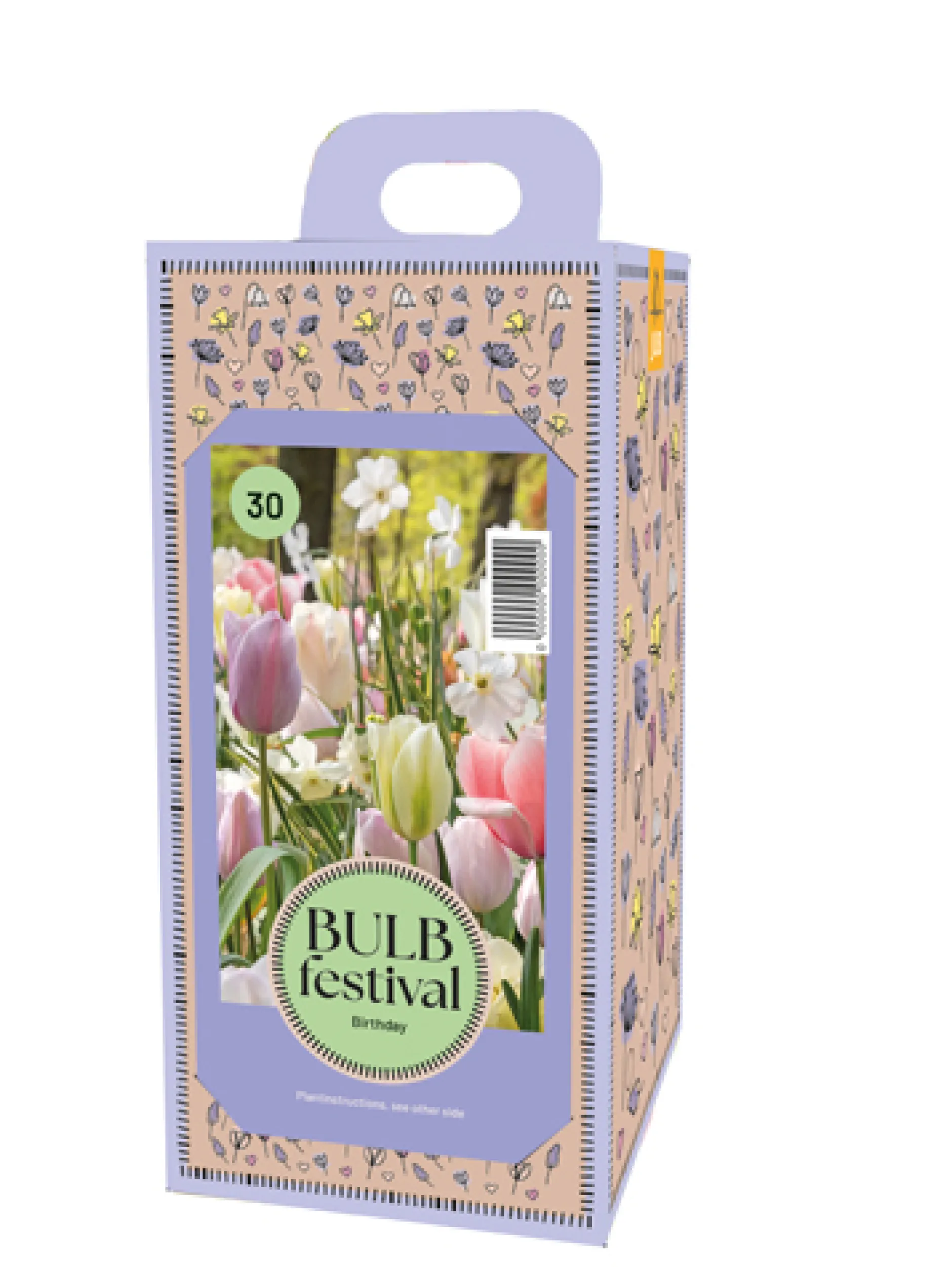 1 doos met 30 bollen bulb festival birthday|ohgreen Sale