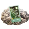 40 leucojum aestivum|ohgreen Discount