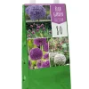 1 tas met 80 bollen bulb garden allium|ohgreen Discount