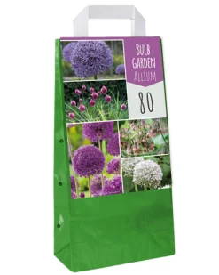 1 tas met 80 bollen bulb garden allium|ohgreen Discount