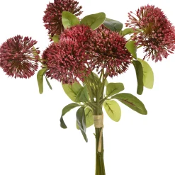 Allium boeket|ohgreen Clearance