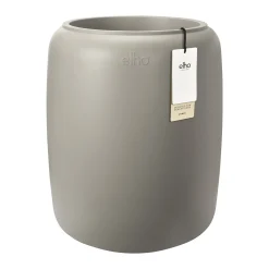 Amber beads|ohgreen Best