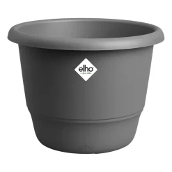 Amiga rond|ohgreen Sale