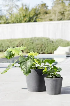 Amsterdam 20cm grijs met waterreservoir|ohgreen Online