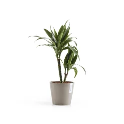 Amsterdam 20cm taupe met waterreservoir|ohgreen Clearance