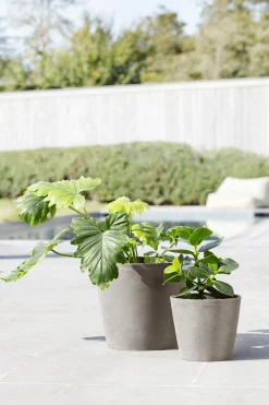 Amsterdam 20cm taupe met waterreservoir|ohgreen Clearance