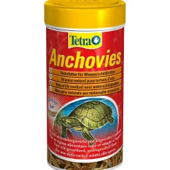 Anchovies|ohgreen Best