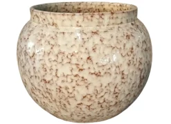 Anogo pot belly|ohgreen New