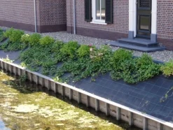 Anti-worteldoek|ohgreen Outlet