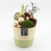 Arrangement kerst Amaryllis|ohgreen Discount