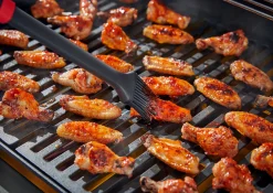 BARBECUEKWAST|ohgreen Discount