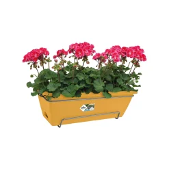 Barcelona allin1|ohgreen