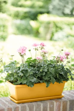 Barcelona balkonbak schotel|ohgreen Hot