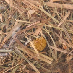 Berghooi met kamille 500gr.|ohgreen