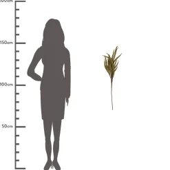 Bessentak piepschuim beige 77cm|ohgreen Outlet