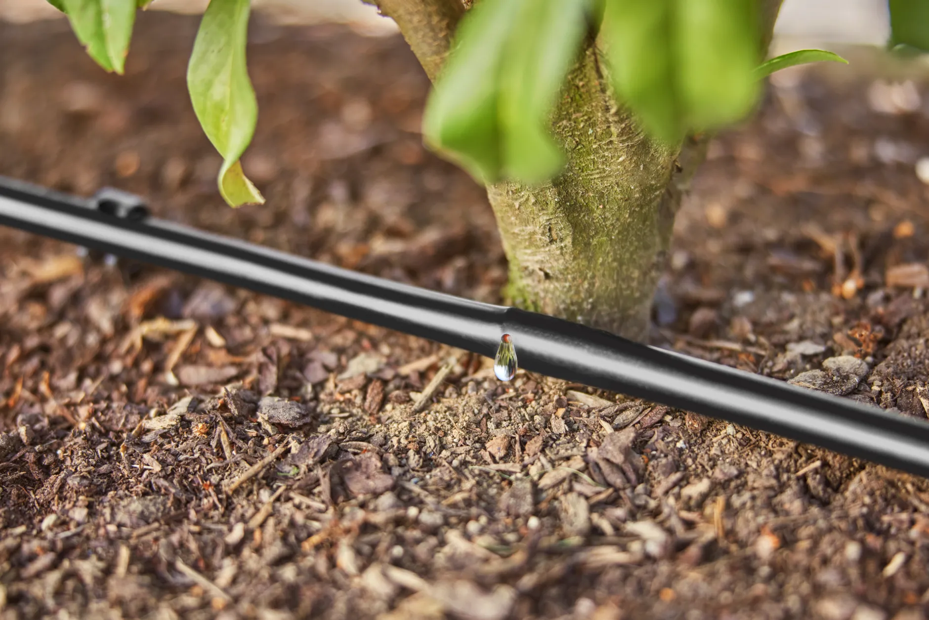 Bewatering heggen of struiken set|ohgreen Online