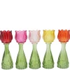 Bicolore tulp vaas 7x18|ohgreen Best