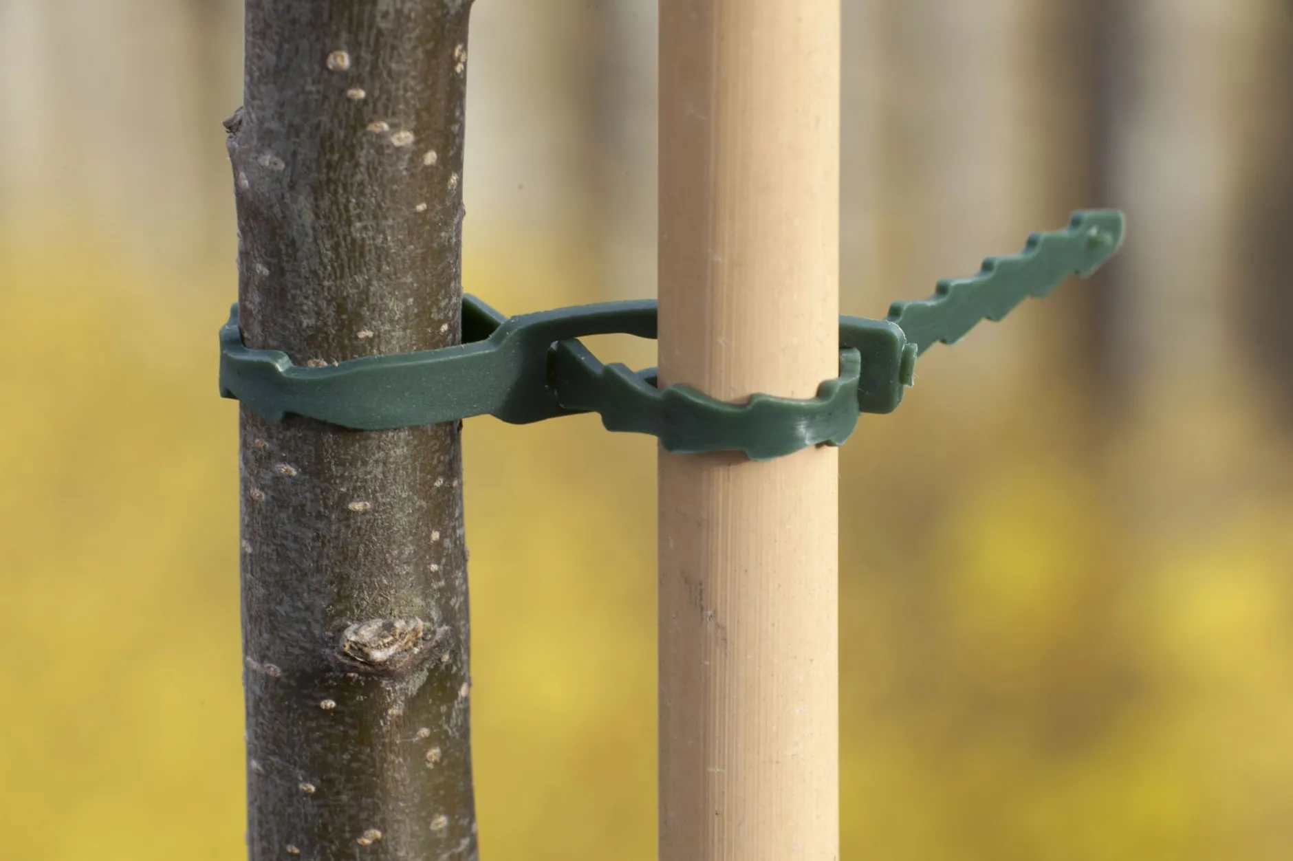 Bindband universeel 35cm groen 12 stuks|ohgreen Best