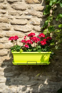 Bloembak relax 50x20h16 lime|ohgreen Discount