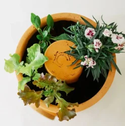 Bloemen composter 2 lagen|ohgreen Outlet