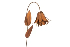 Bloemkelk|ohgreen Hot