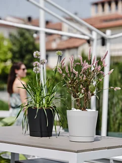 Bloempot Orione 24cm wolkwit|ohgreen Outlet