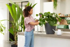 Bloemspuit 0,7l|ohgreen Outlet