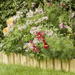 Boduur recht Cala|ohgreen Best