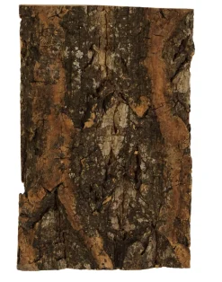 Boomschors kurk 12x18cm|ohgreen Hot