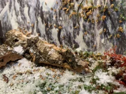 Boomschors kurk 12x18cm|ohgreen Hot