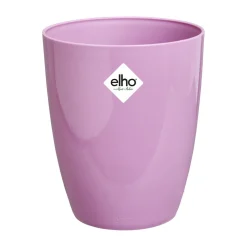 Brussels diamond orchidee hoog 12,5|ohgreen Online