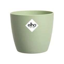 Brussels rond|ohgreen Clearance