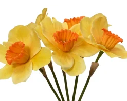 Bundel op steel|ohgreen New