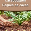 Cacaodoppen 40l|ohgreen Best