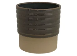 Cellos pot dusty|ohgreen New