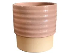 Cellos pot dusty|ohgreen Hot