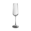 Champagneglas 24cl ray - set/4|ohgreen Outlet