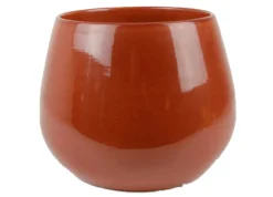 Cielo pot glans|ohgreen Outlet