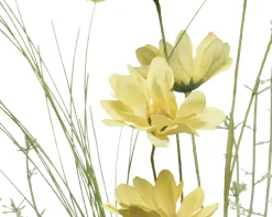 Dahlia|ohgreen Online