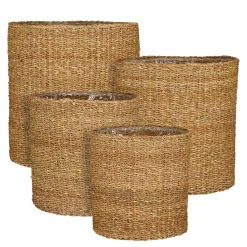 Dave mand - h54xd54cm|ohgreen Best