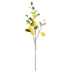 Decoratie citroen branche geel - l104cm|ohgreen Discount