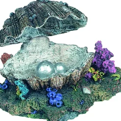 Decoratie schelp (beweging)|ohgreen