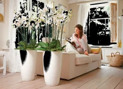 Diamond hoog 32cm|ohgreen Online